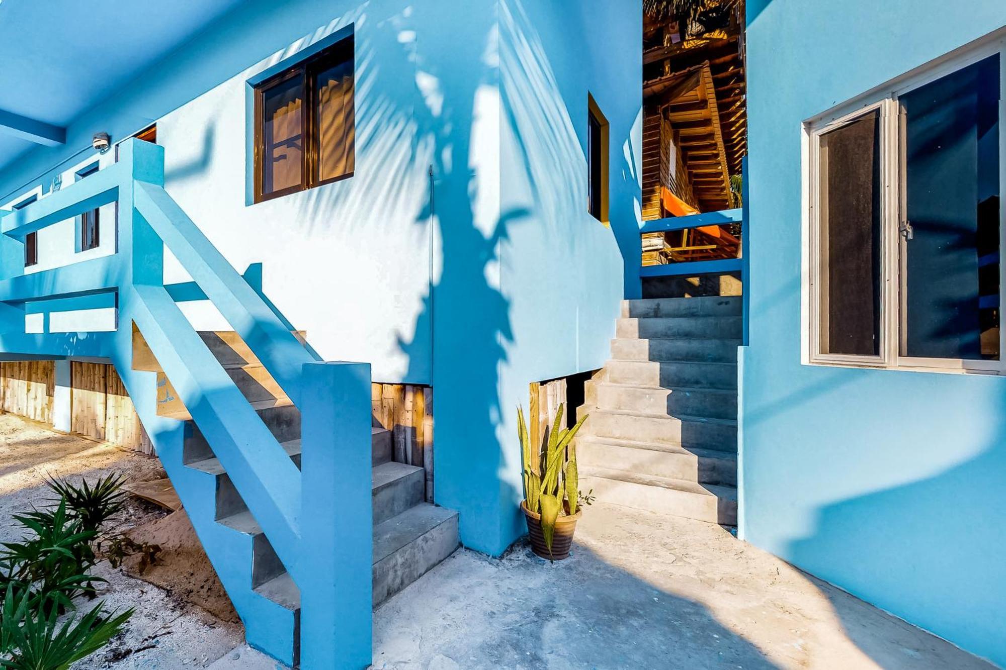 Mayan Falls Caye Caulker Rom bilde